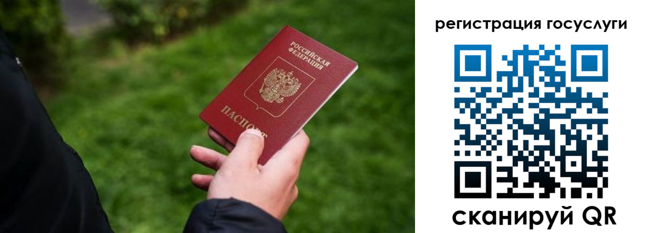 прописка в Зернограде