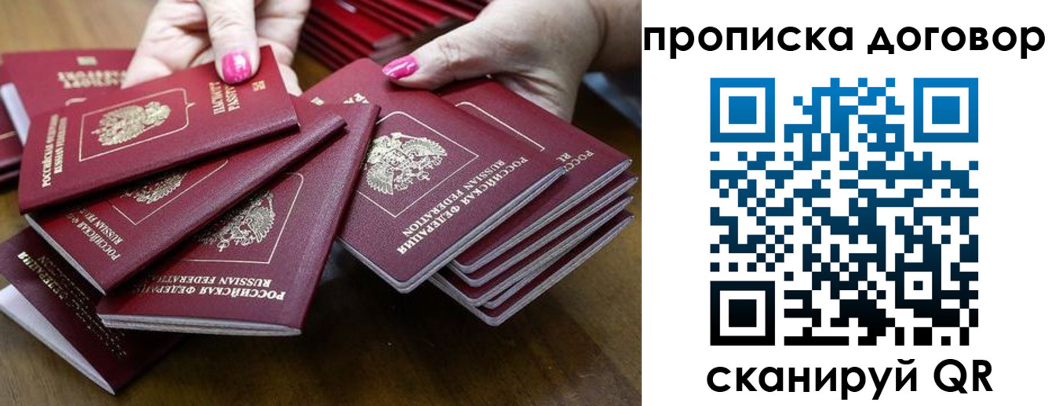 прописка в Зернограде